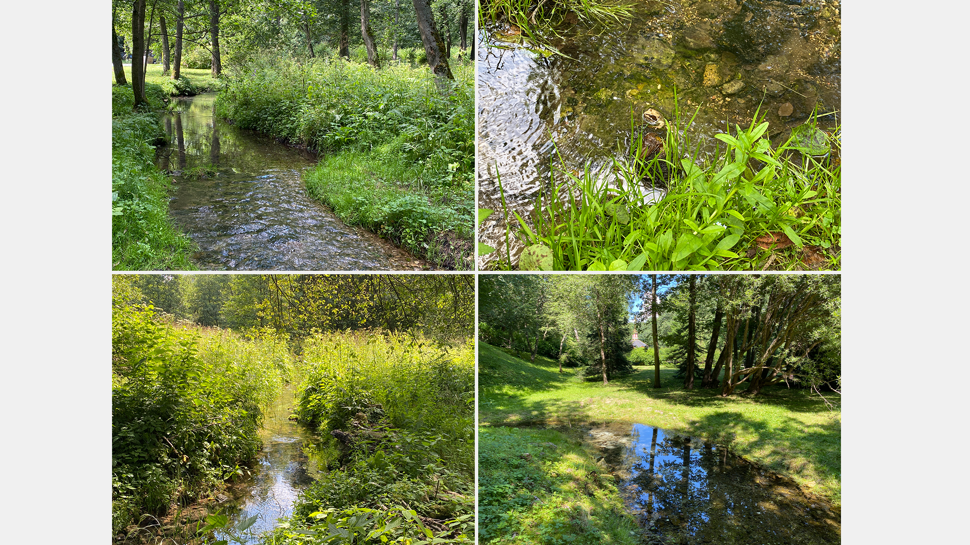 Кристально чистая вода в речке, которую дает источник Талеж и живописная красота вокруг (4 фотографии)