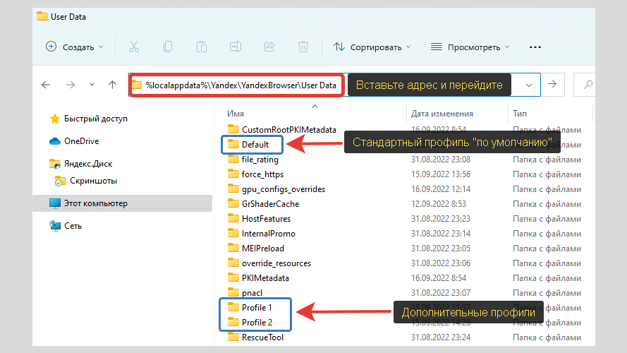 Папка User Data браузера Яндекс в Windows, каталоги профилей.