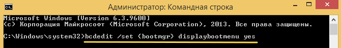 Команда bcdedit /set {bootmgr} displaybootmenu yes в окне CMD.