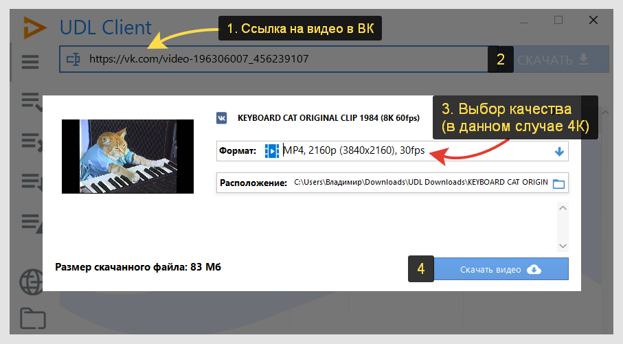 Окно программы UDL Client, ссылка на видео ВКонтакте и выбор качества для скачивания.