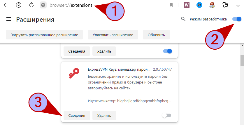 Включение режима разработчика в расширениях Яндекс браузера и переход к сведениям.